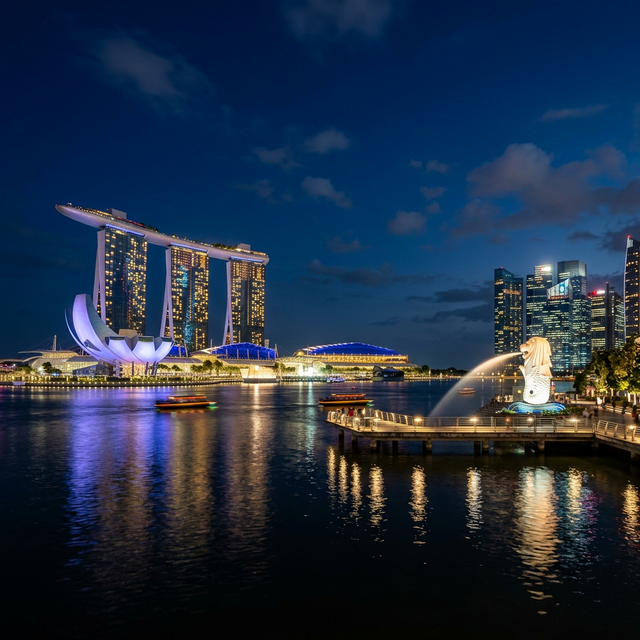 Quy Định Singapore Airlines Chi Tiết 2026: Hành Lý, Check-in, KrisFlyer